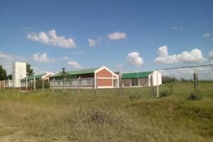 Escuela Secundaria N° 11 “Adolfo Weber”