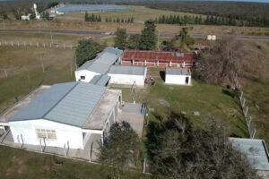 Escuela Secundaria N° 13 Federacion, Libertad y Fuerza