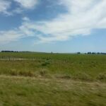 Escuela Secundaria N&deg; 5