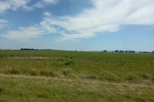 Escuela Secundaria N&deg; 5