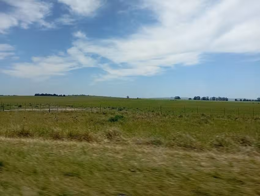 Escuela Secundaria N&deg; 5