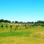 Escuela Secundaria N&deg;10