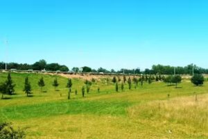 Escuela Secundaria N°10