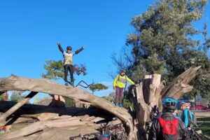 Escuela Secundaria N&deg;5 Mar de Cobo