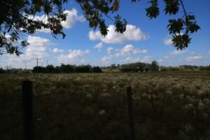 Escuela secundaria N°8