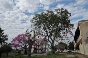 Escuela Tecnica Brigadier Gral. Pedro Ferre