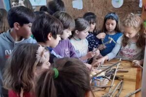 Escuela waldorf primaria SOL DE INVIERNO