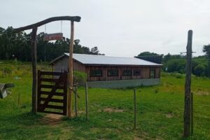 Escuela Waldorf Tandil: La Colmena