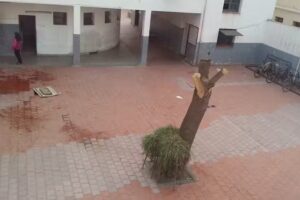 ESRN N&deg; 89 &ndash; Manuel Belgrano