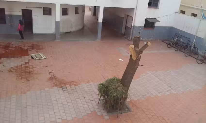 ESRN N&deg; 89 &ndash; Manuel Belgrano