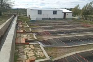 Estaci&oacute;n de Piscicultura E.S.E.T.P N&deg; 716 &ldquo;Casimiro Szl&aacute;pelis&rdquo;