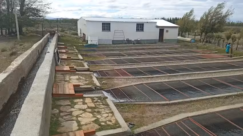 Estaci&oacute;n de Piscicultura E.S.E.T.P N&deg; 716 &ldquo;Casimiro Szl&aacute;pelis&rdquo;