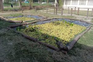 Estaci&oacute;n Educativa Fauna