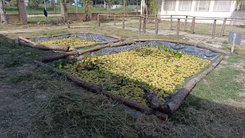 Estaci&oacute;n Educativa Fauna