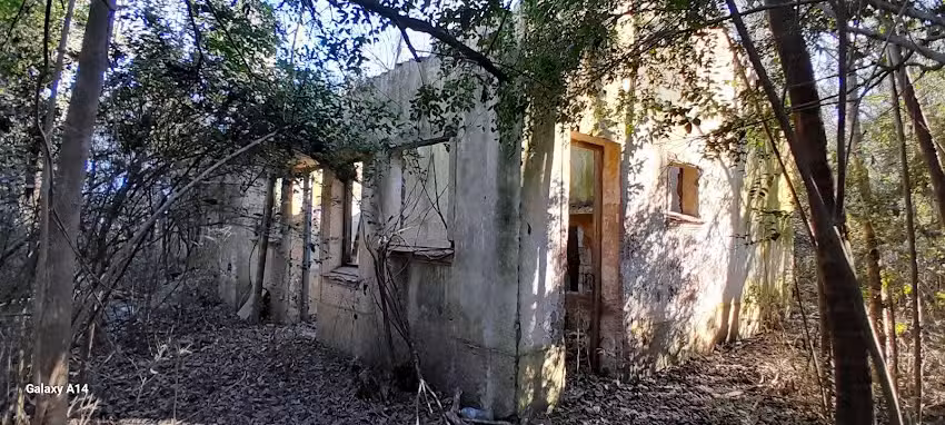 Ex Escuela 8 El Ladrillazo