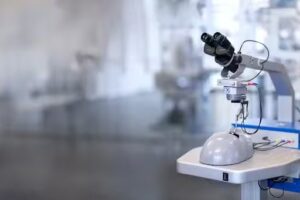 FACO Training Mendoza