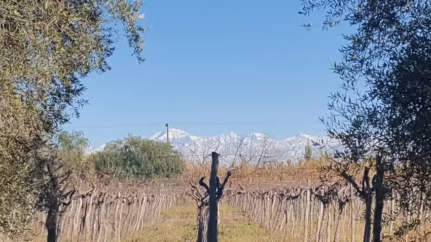 Finca Escuela OLEOVID