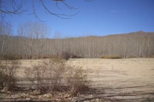 Francisco Javier Mu&ntilde;iz