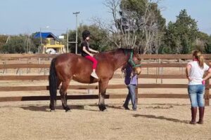 Fundaci&oacute;n de Equinoterapia San Luis