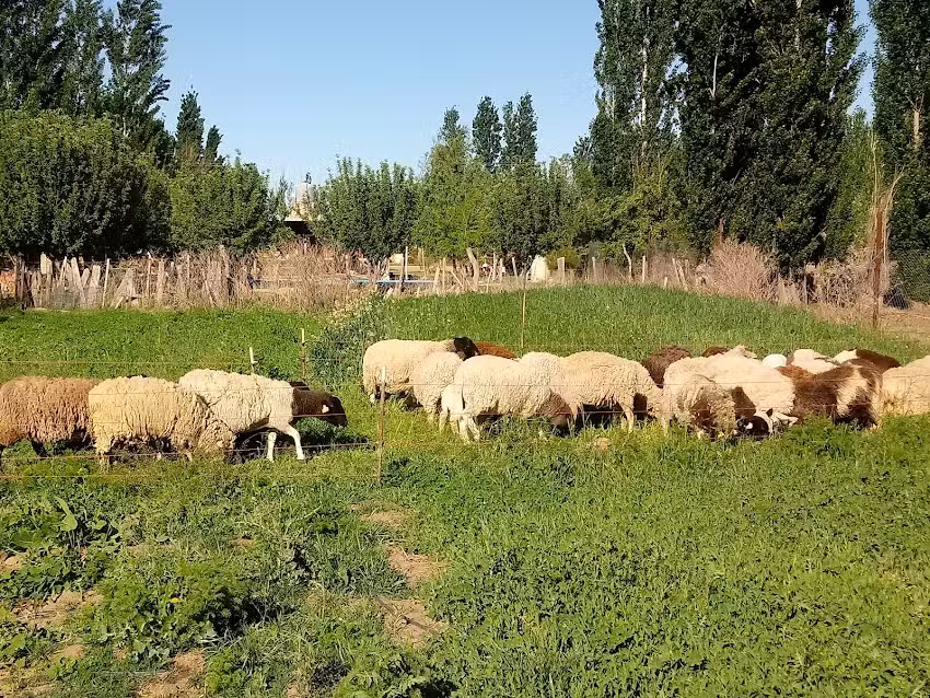 Granja Agroecol&oacute;gica &ldquo;LA ESPERADA&rdquo;