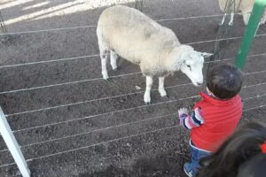 Granja Educativa Pilar