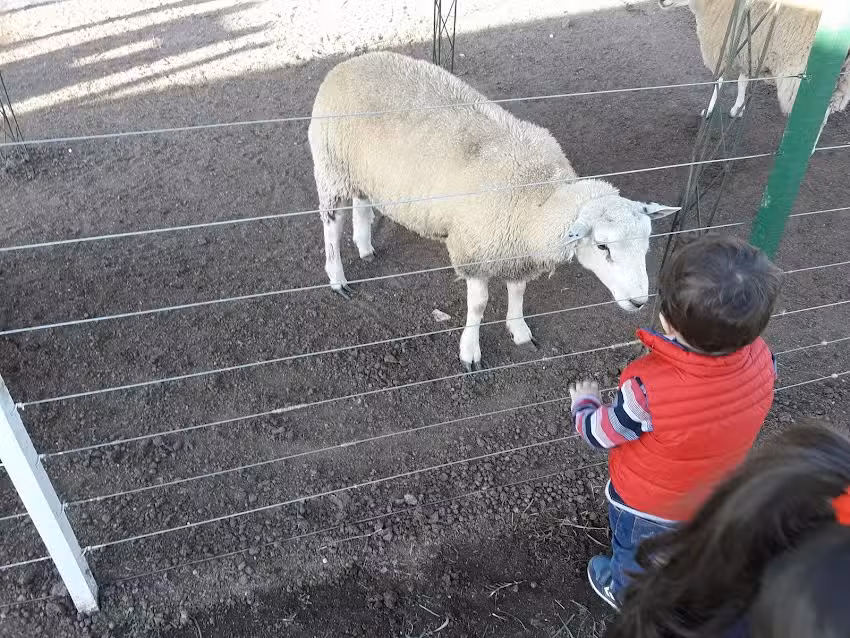 Granja Educativa Pilar