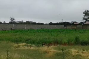 Granja Experimental IPEA 127 &ndash; Dr. Mateo Carusillo