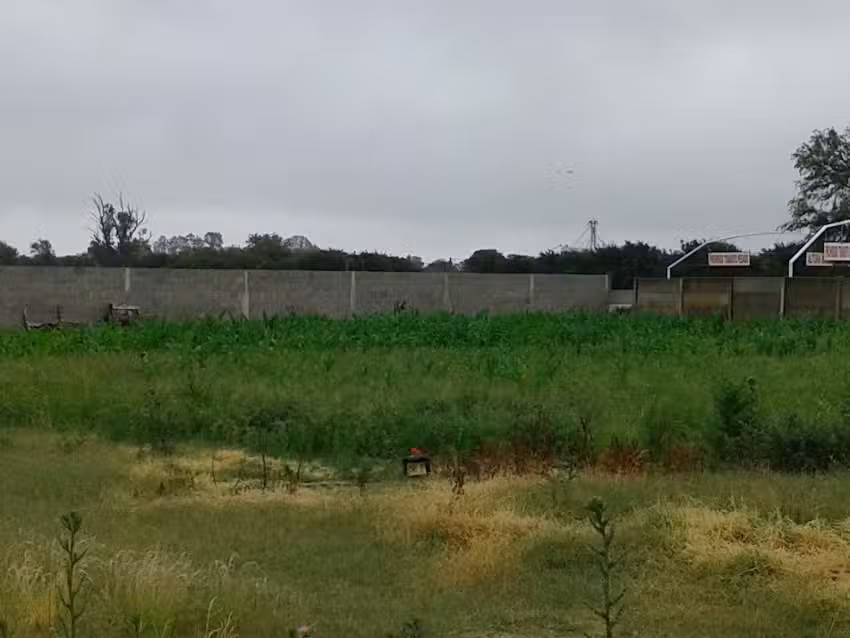 Granja Experimental IPEA 127 &ndash; Dr. Mateo Carusillo