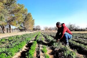 Granja experimental Sol Del Bermejo
