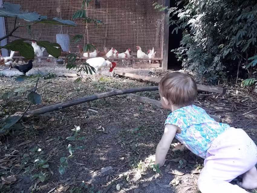 Granja La Aurora