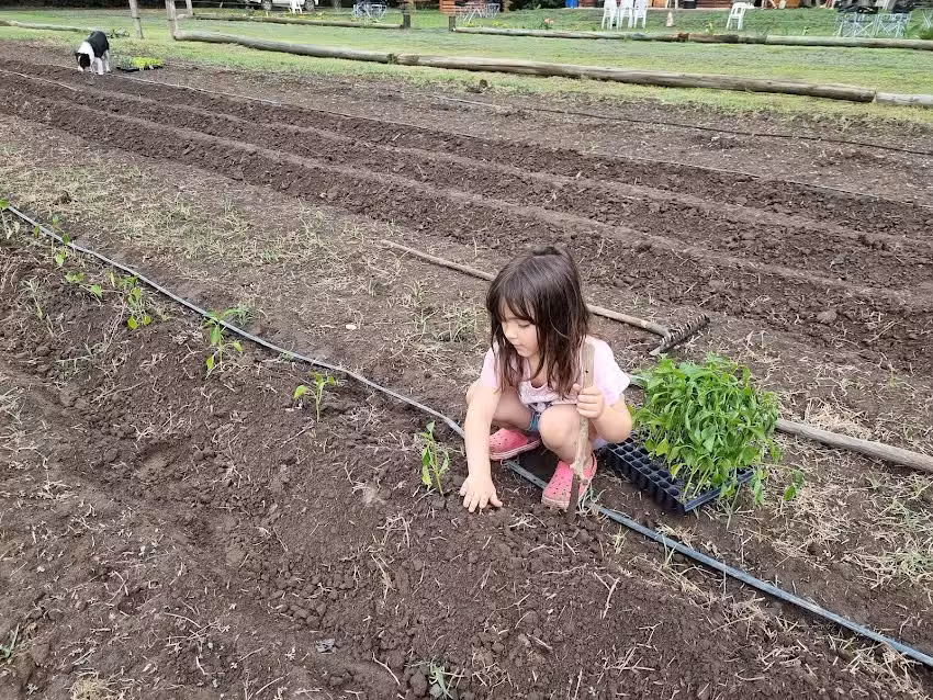 Granja La Chacrita
