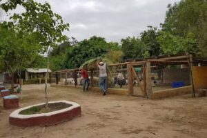 Granja &ldquo;La So&ntilde;ada&rdquo;