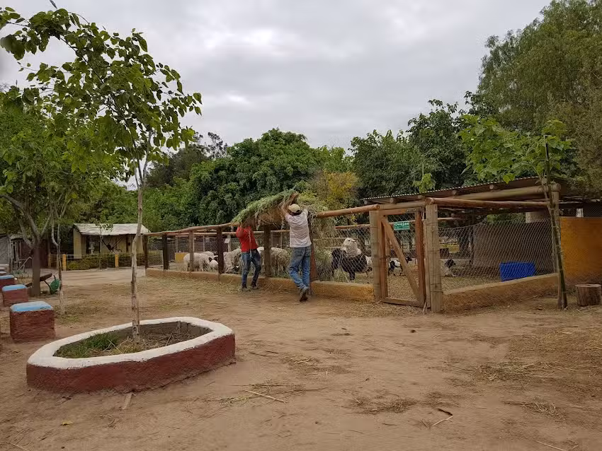 Granja &ldquo;La So&ntilde;ada&rdquo;