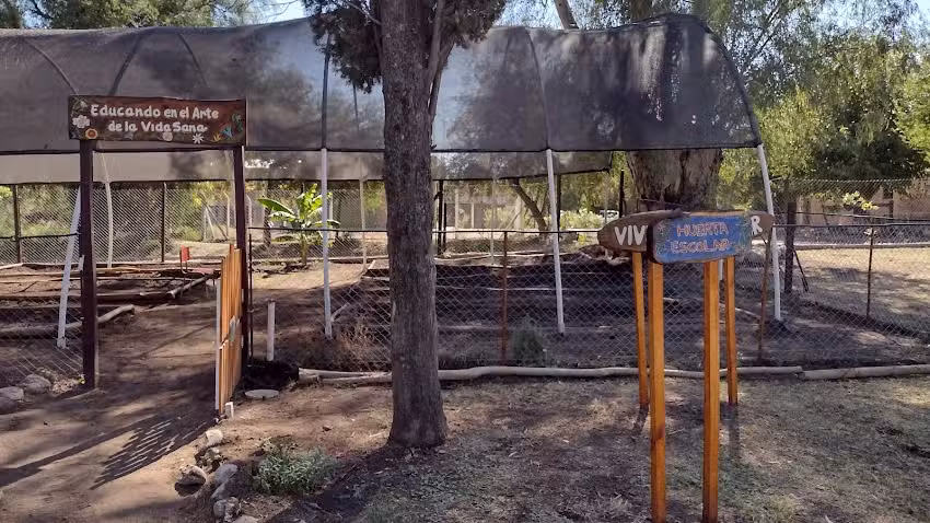 HUERTA ESCOLAR: LA PLUMA INFINITA