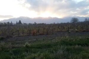 I.E.S. Rosario Vera Pe&ntilde;aloza