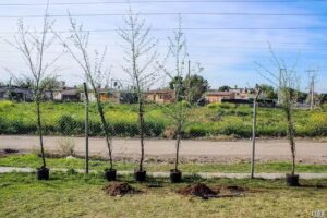 I.P.E.M. 169: &ldquo;Rafael Escuti&rdquo;