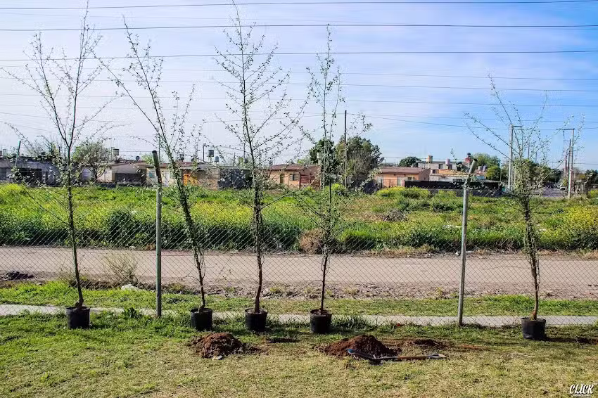 I.P.E.M. 169: &ldquo;Rafael Escuti&rdquo;