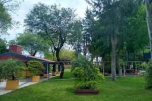 I.R.I.S Instituto de Reeducaci&oacute;n Infantil S. del E.