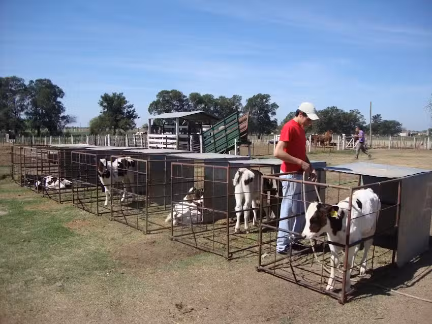 IBAT San Jose &ndash; Quinta Hno. Bovies