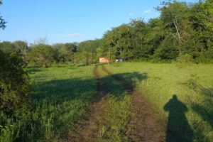 Ing. Alberto Mascias y I.P.E.M. 367