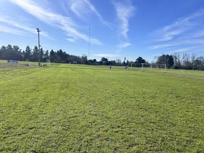 Ingreso al colegio Andersen