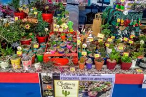 Instituto Abate Jose Rey