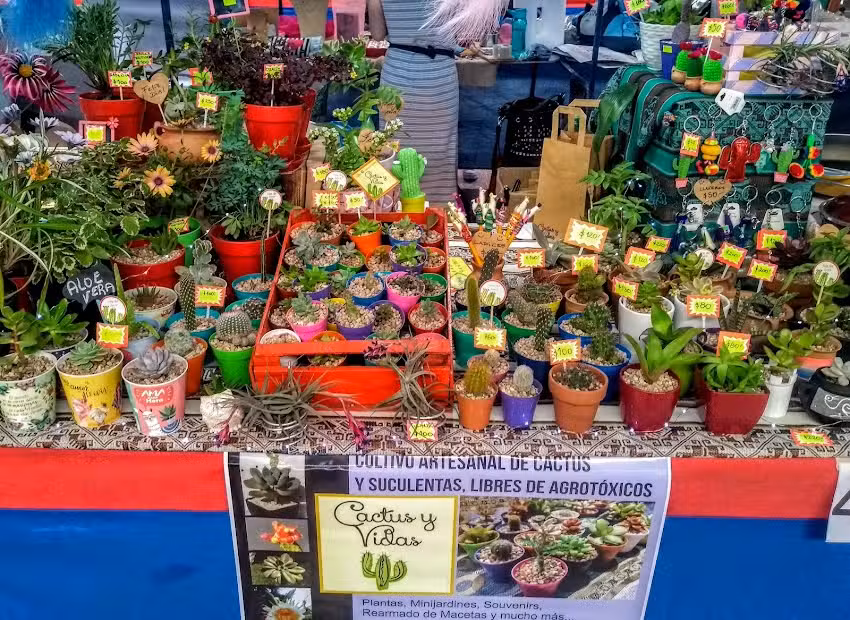 Instituto Abate Jose Rey