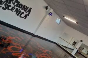 Instituto de Arte &ldquo;Armon&iacute;a Esc&eacute;nica&rdquo;