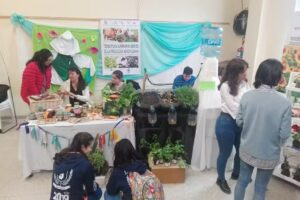 Instituto de Nivel Terciario