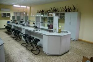 Instituto Don Orione