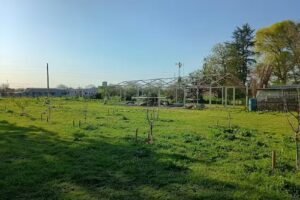 Instituto Privado Bragado Agrotecnico