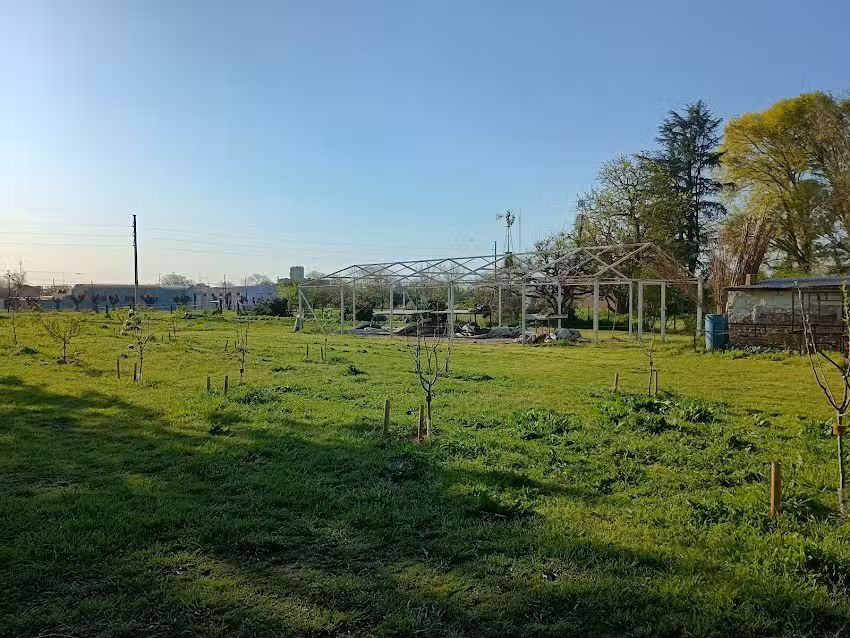 Instituto Privado Bragado Agrotecnico