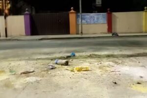 Instituto San Vicente de Paul