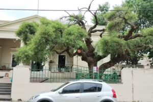 Ipem N° 203 “Dr. Juan Bautista Dichiara”